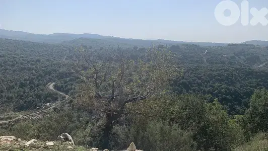 RWB213MT - Land for sale in Haqel Jbeil ارض للبيع في حائل جبيل
