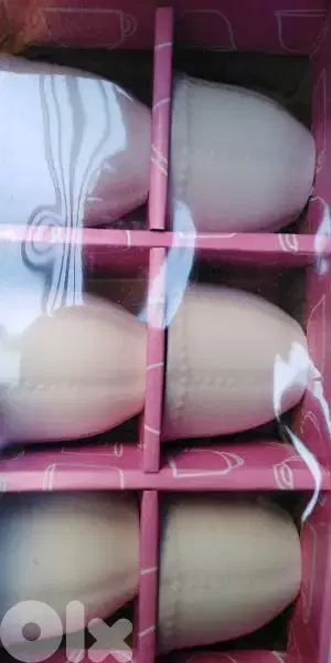 فناجين قهوه حلوين السته ب ١٣٠ الف ليره