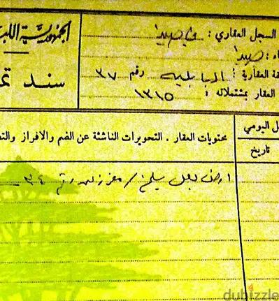 land for sale in babliyeh saida