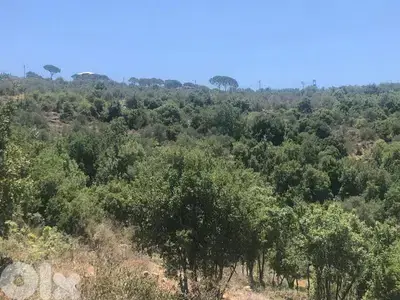 ارض للبيع في حاصبيا الجنوب land for sale in hasbaya