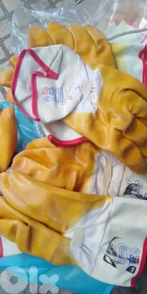 كفوف اوروبيه الجوز ٧٠ الف