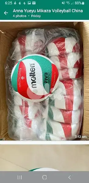 Molten Volleyball