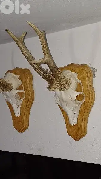antique