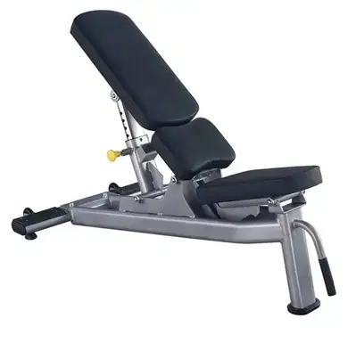 Life Fitness Gym Bench
