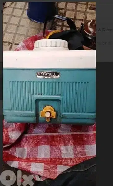 براد ماي انتيك
