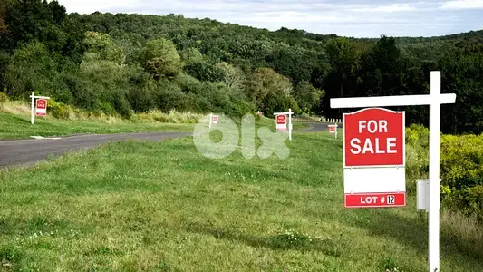 Land for sale in Kneisse ارض للبيع في الكنيسة
