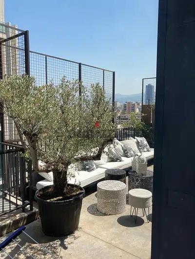 Penthouse designed with terrace and swimming pool