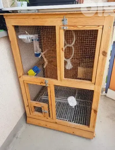 birds cage