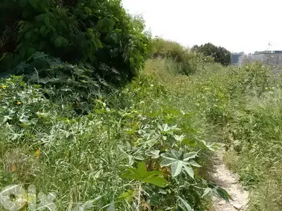 1800 Sqm | Land For Rent Or Sale In Sin El fil أرض للايجار في سن الفيل