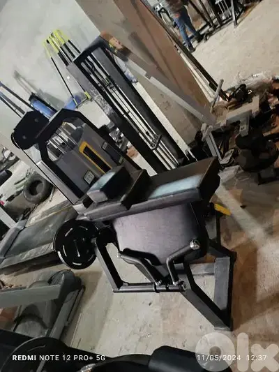 biceps and other Gym machines 03027072 GEO SPORT