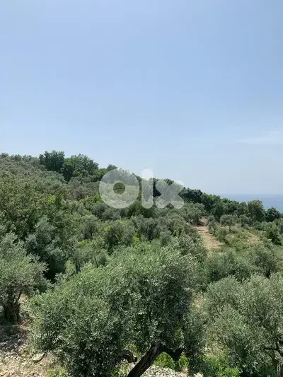 Land For Sale | Fghal | أرض للبيع | جبيل | REF:RGKS293