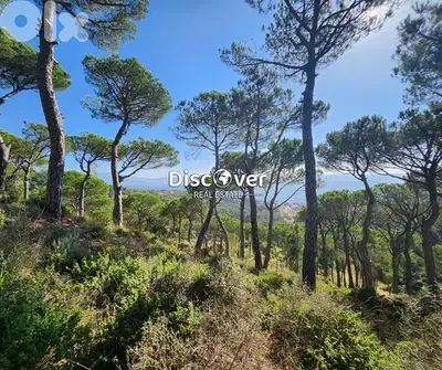 Prestigious Address | Land for sale in NAAS ( shalimar area )