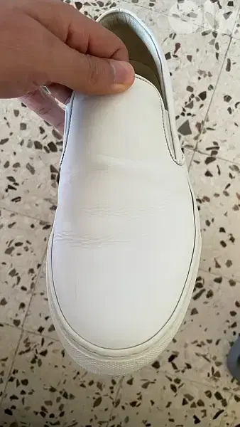 Pantofola d'Oro