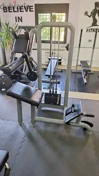 Abs and lower back machine