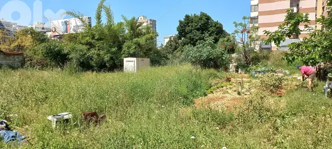Land in Nahr el mot Highway for Rent ارض للإيجار في طريق نهر الموت