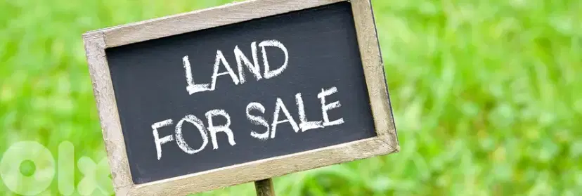 Land for sale in Mar Chaaya ارض للبيع في مار شعيا