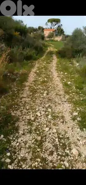 land for sale in hsaret jbeil. ارض للبيع في حصارات جبيل
