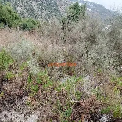 Land For sale In Hboub - Jbeilارض للبيع في حبوب جبيل  CPJRK205