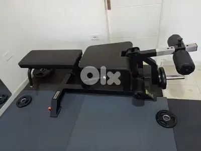 Leg extension leg curl Bench Heavy Duty 03027072 GEO SPORT