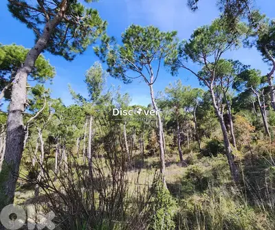 1,890sqm | Land for sale in Chalimar ( Shalimar ) - Baabdat