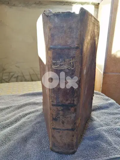 Vincentius Bracco 1878 bible