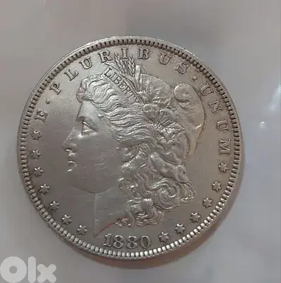 USA Morgan Silver Dollar 1880
