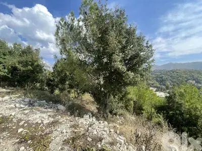 RWK283CA - Land For Sale In Ghineh - أرض للبيع في الغينة