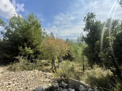 RWK284CA - Land For Sale In Ghineh With An Amazing Mountain View
