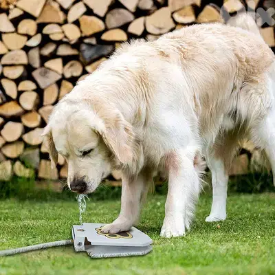 Outdoor automatic step on drinking fountain for dogs