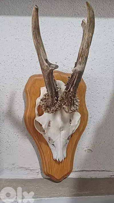 antique
