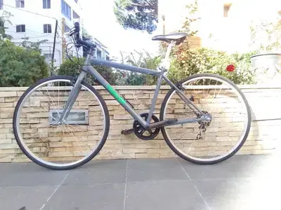 Trailer bike