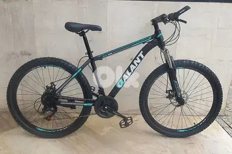 Galant bike Aluminium rims (brand new)