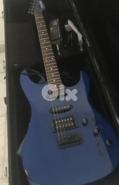 Fernandes Electric Guitar Sustainer