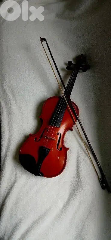 violin