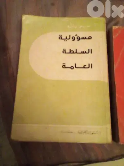 مسؤولية السلطة العامة