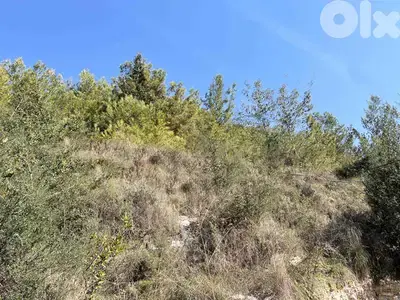 Land For Sale In Blat | Open Sea View | أرض للبيع | PLS 26240