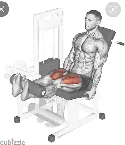 Leg Extention GEO sport معدات رياضية متنوعة