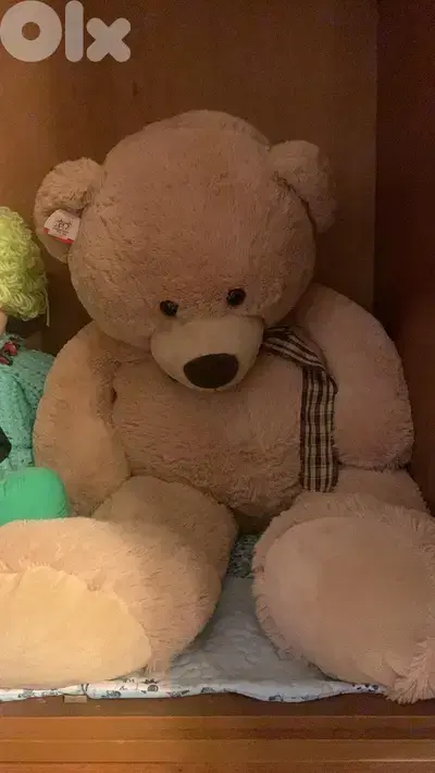 Big Teddy