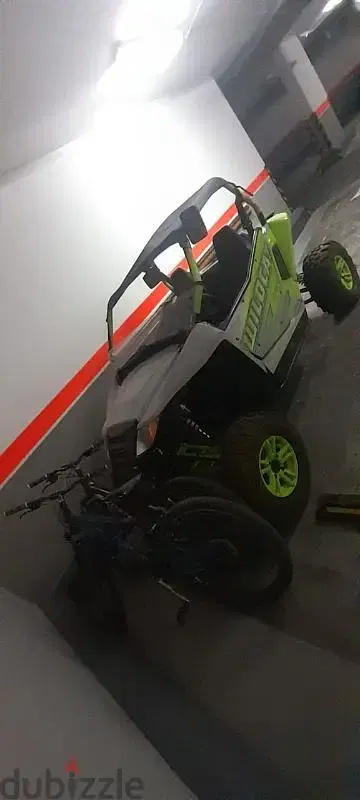 new BUGGY Arctic Cat