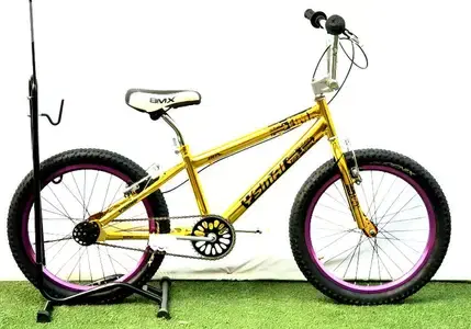 bmx 20 bike new
