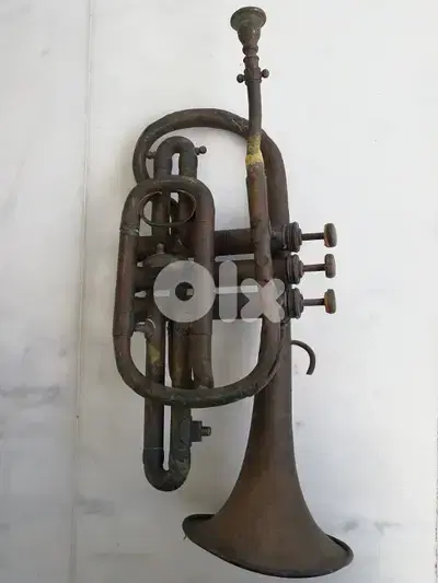 بوق صنع 1900