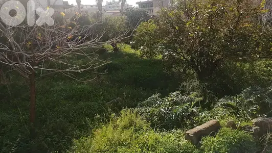 land 1032 sqm for sale in Jdeideh Ref#6514