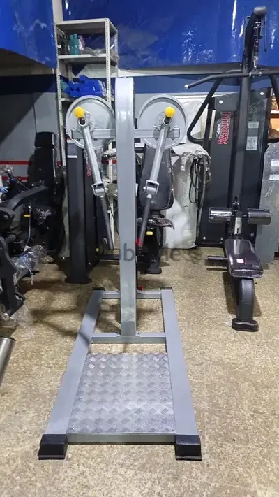 lateral raise machine like new