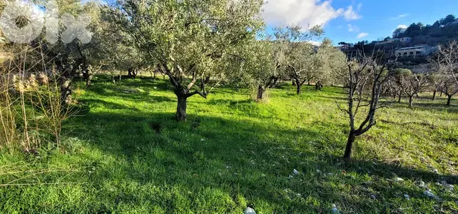 RWB111EG - Land for sale in Lehfed Jbeil