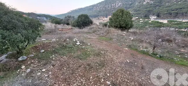 Land for Sale in Arsoun أرض للبيع في أرصون