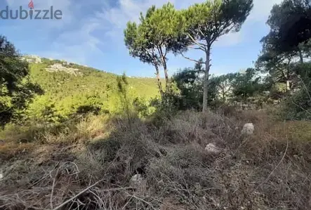 1000 SQM Land+Mountain View 4 Sale in Monteverde -أرض للبيع مونتيفردي