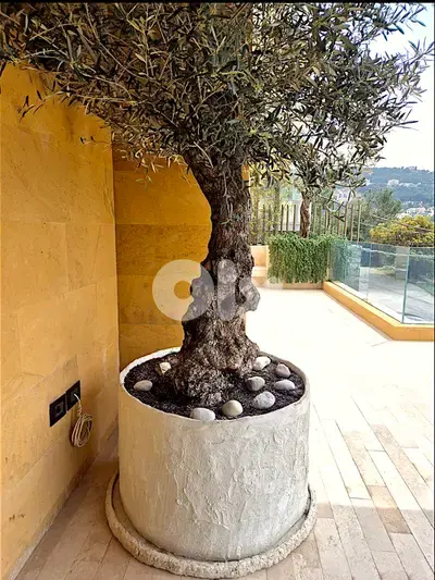 Concrete planters
