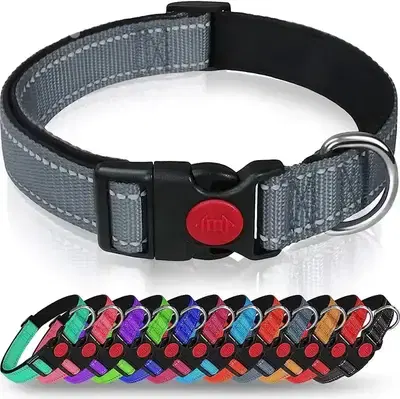 Adjustable Reflective Webbing Collar With Leash For Dogs And Cats