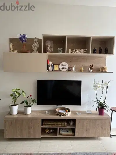 TV unit