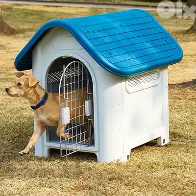 Dog Outdoor House